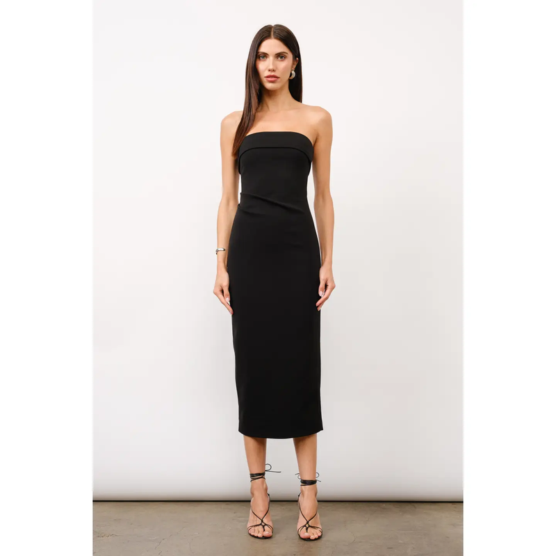 Mila Tube Fitted Maxi Dress